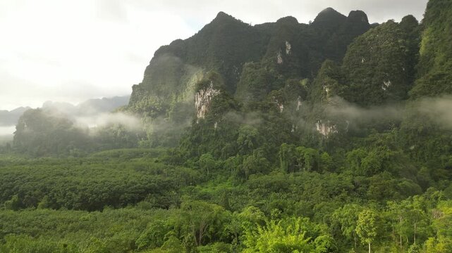 Misty Limestone Mountains and Tropical Rainforest in Khao Sok, Thailand