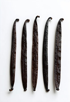 Vanilla bean pods for baking and gourmet cooking, natural flavor and aromatic spice ingredient on white background