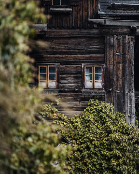 View of a traditional dark timber house facade with two windows and lush green ivy climbing the wooden walls in Hallstatt, Upper Austria, Austria.