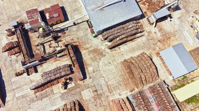At a wood processing facility, logs are stacked in rows on an asphalt surface. Machinery is seen working to process the wood under a clear sky.