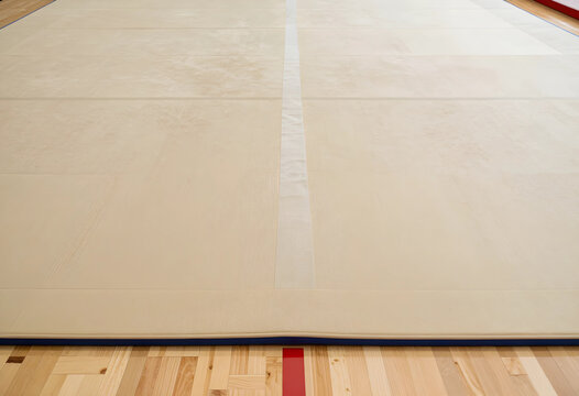 Martial arts training mat judo and karate dojo flooring sports and fitness background combat sports practice area