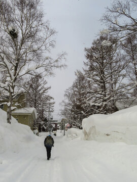View of a person walking along a snow-covered road lined with deep snow banks and bare trees in Niseko, Hokkaido, Japan.