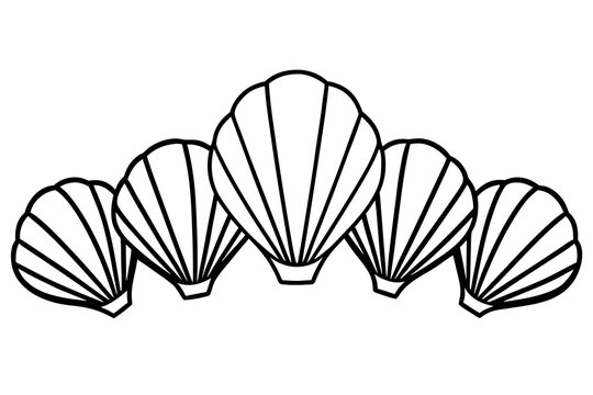 Five scallop shells illustration in line art