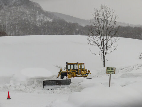 View of a yellow bulldozer clearing deep snow in a winter landscape with a bare tree, a traffic cone, and a no parking sign in Niseko, Hokkaido, Japan.