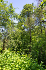 Fototapeta premium Landscape around Pancharevo lake, Bulgaria