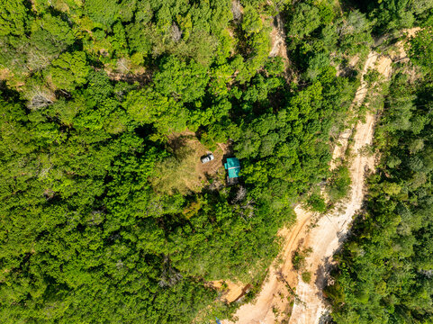 Deforestation aerial photo,Forest destroyed environmental damage from deforestation and land erosion in rural areas,Deforestation environmental destruction,Rainforest destroyed for human development