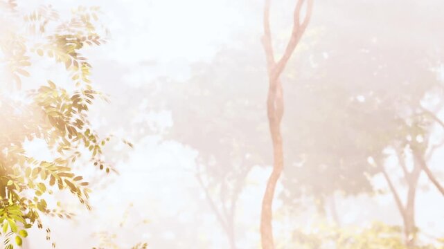 Sunlight shines through tree branches in a forest. The air is full of mist. The scene shows greenery and fading light. It captures the essence of a quiet morning outdoors.