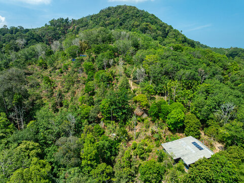 Aerial view Drone camera top view rainforest trees ecology with house in the forest trees background,Green environment background