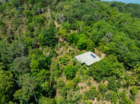Aerial view Drone camera top view rainforest trees ecology with house in the forest trees background,Green environment background