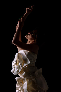 Model poses elegantly in fashion dress with floral details against a dark background