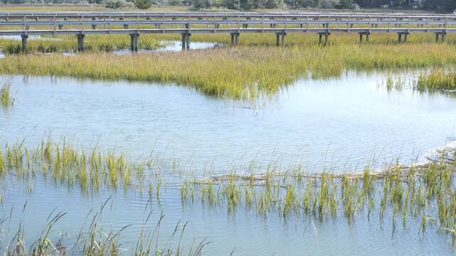 Flowing salt water tidal creek at a very high tide with marsh grass, and a dock boardwalk in the image, 4k.