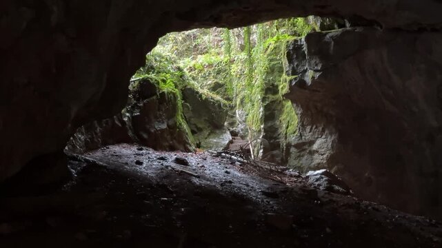 Stunning viewpoint from inside the dark Tkalca jama cave, showing the lush green entrance in Rakov Skocjan Valley Regional Park, Slovenia