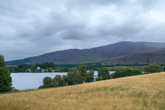 Loch Alvie surrounded by purple heather hills under low grey clouds in the scenic Scottish Highlands near the town of Aviemore during the afternoon