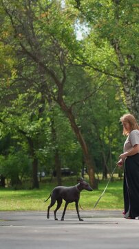 Woman walks alongside child holding their leashed pet. Leash connects adult to young boy who both manage same. Sunlight filters down creating light patterns on path where