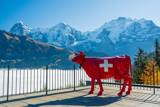 Red cow statue with Swiss cross overlooking sea of clouds and snow-capped Eiger, Monch and Jungfrau mountains of the Alps. Murren, Canton of Bern, Switzerland.
