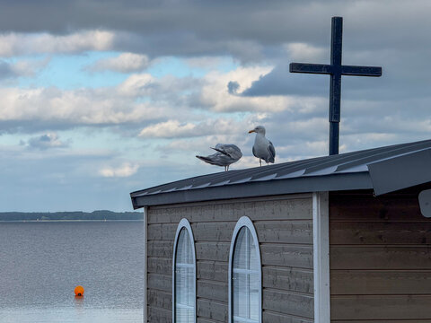 Seagulls on wooden chapel roof by sea in Eckernf&ouml;rde Germany