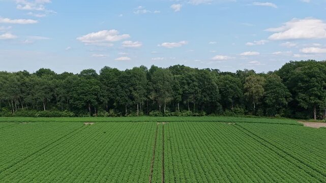 Green nature energy. Landscape of electric voltage station. High voltage. Electricity pylon outdoor. Nature summer environment. Electricity tower. Electricity power lines in nature landscape.