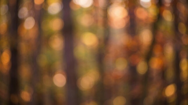 Soft Blurred Autumnal Bokeh Light Rays Creating Warm Seasonal Atmosphere Background autumn bokeh background blurred lights fall seasonal warm soft backdrop nature abstract orange yellow bright glow