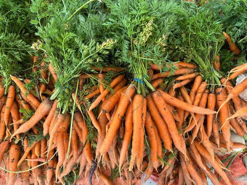 Fresh orange carrots with leafy green tops piled together at a market, showcasing their vibrant color, and farm-fresh produce. Ideal for agriculture, healthy food, and organic market concepts.