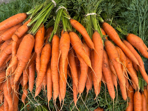Fresh orange carrots with leafy green tops piled together at a market, showcasing their vibrant color, and farm-fresh produce. Ideal for agriculture, healthy food, and organic market concepts.