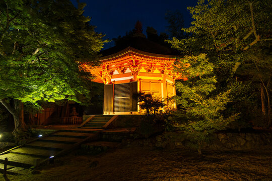 日本の風景・夏　京都　東福寺　青もみじライトアップ　愛染堂