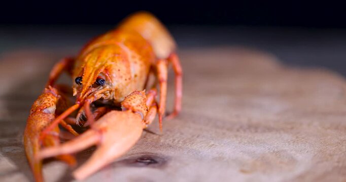 One red crayfish on the background of a wooden table, a freshly cooked crayfish with claws while cooking food
