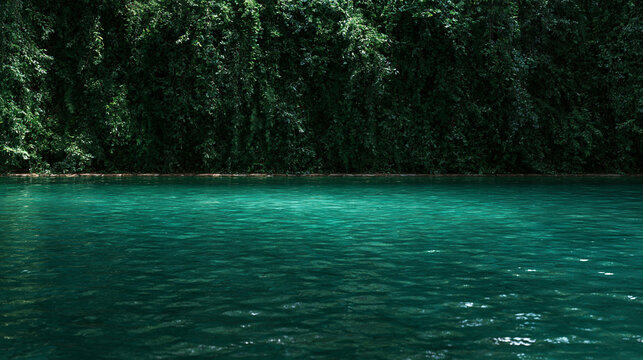Emerald Green Tropical Lake Surrounded by Lush Rainforest Foliage