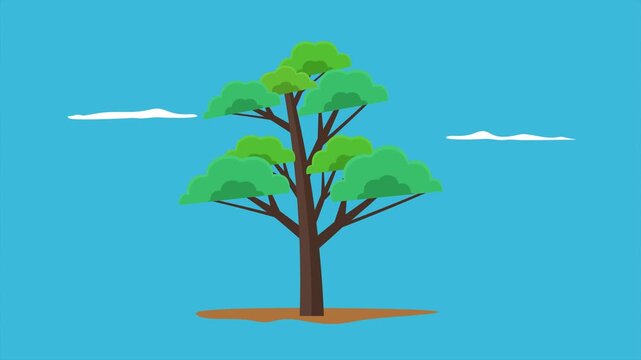 Green tree representing healthy natural environment. Tree concept. Full length Icon animation illustration. High quality&nbsp;4k&nbsp;footage