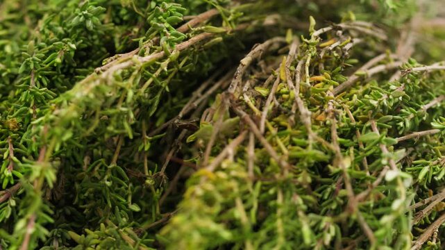 Green thyme bunch tied together, aromatic spices of dried thyme for use in cooking and folk medicine, herbal tea, kitchen. 