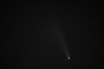 close up of comet Tsuchinshan-ATLAS © P Wood