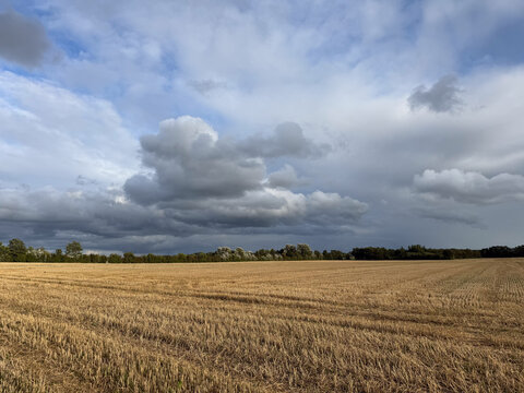 Harvested wheat field under cloudy sky in rural Germany