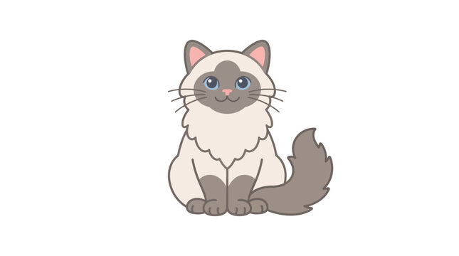 Cute Cartoon Ragdoll Cat Vector Illustration Isolated on White Background