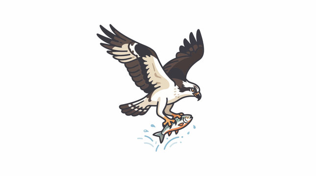 Vector illustration of an osprey or eagle catching a fish in flight on a white background