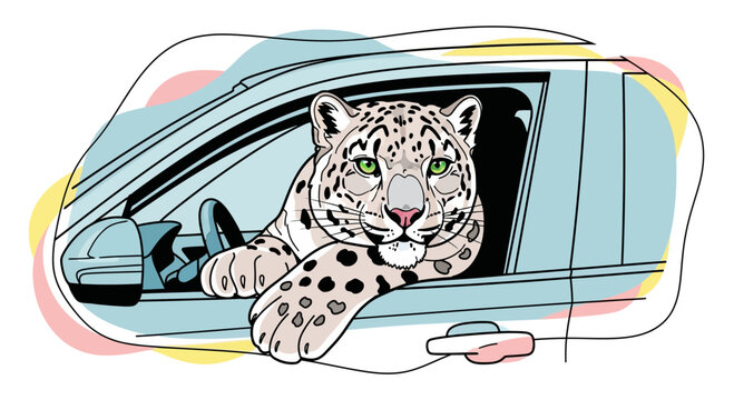snow leopard in car, exotic animal driving