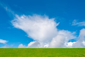 Fototapeta premium Clouds above green meadow. Green meadow near clouds on vivid blue sky. Peaceful landscape with grassland. Background for nature and environment.