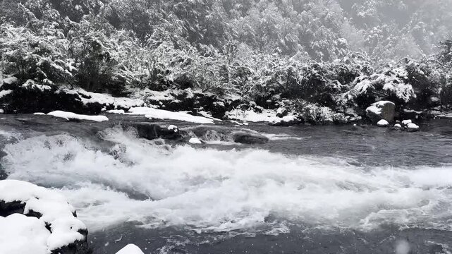 El Cerduo Park, with snow-covered trees by the river, during winter in the city of Puc&oacute;n, southern Chile.