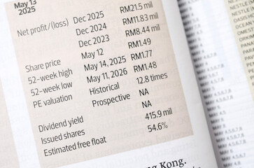 Obraz premium Company Financial Data Showing Net Profit, Share Price and Valuation for Stock Investment Analysis