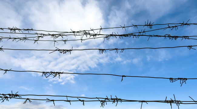 Barbed wire on fence with blue sky on background