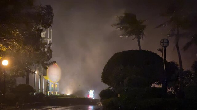 Hurricane Winds Batter Palm Trees During Violent Nighttime Storm - Koinu