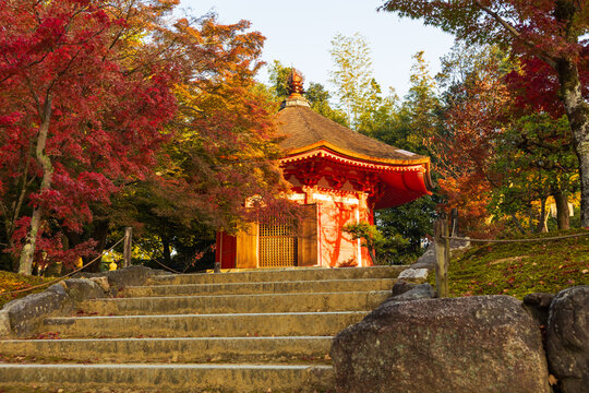 日本の風景・秋　京都　紅葉の東福寺　愛染堂