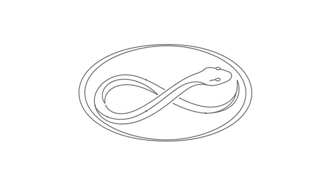 snake in infinity symbol, oval frame