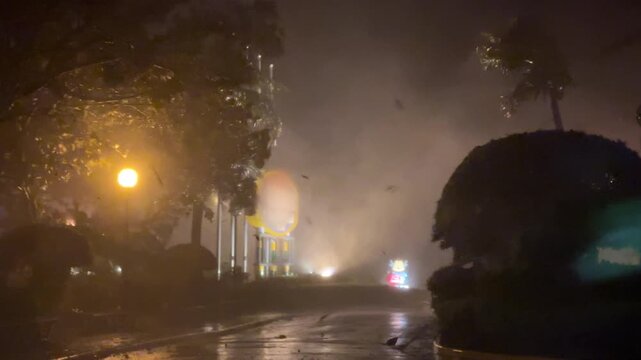Palm Trees Bend in Powerful Hurricane Winds and Heavy Rain at Night - Koinu