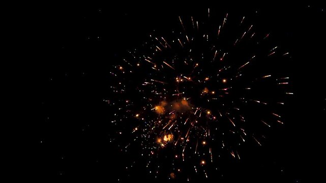 近距離から見た夜空に舞う花火