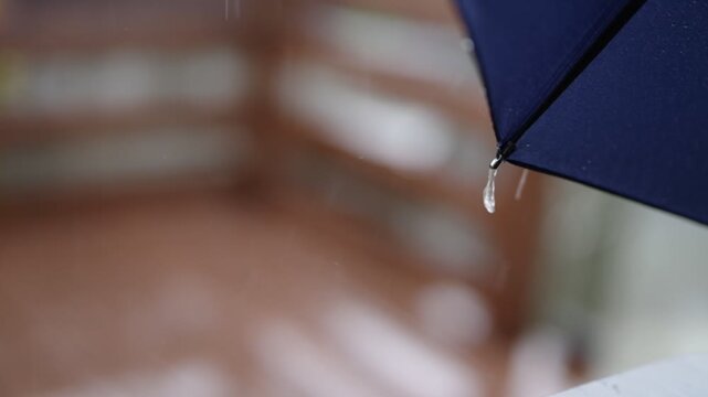 雨に日の素材
