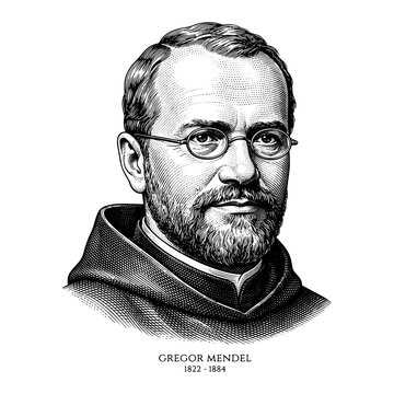 Gregor Mendel Portrait in Vintage Engraved Woodcut Style