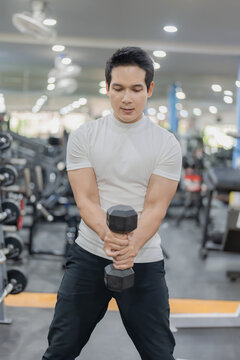 Asian man sitting on workout bench doing bicep curls with dumbbells in gym