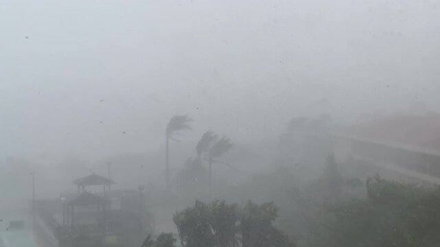 Powerful Hurricane Eyewall Brings Destructive Wind and Heavy Rain - Koinu