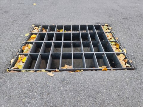 Metal storm drain grate on asphalt road with dry autumn leaves, urban drainage and rainwater management infrastructure concept.