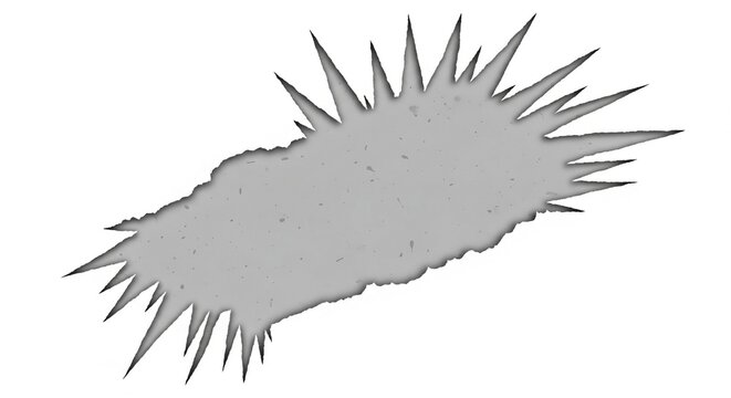 Ciliates protozoa vector illustration. Single-celled microorganism with cilia. Microscopic aquatic organism. Parasitology medical diagram. Biology educational chart. Grey shape on white