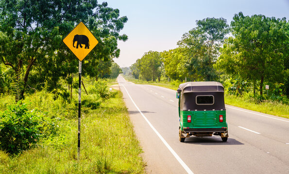 Elephant crossing warning sign, Sri Lanka